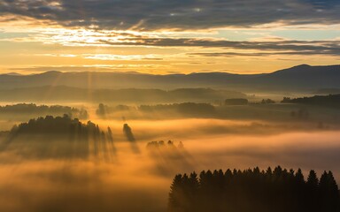 Obraz premium Golden sunrise beams through morning fog over rolling hills and forests