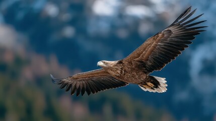 Obraz premium Majestic eagle soaring above a serene mountain landscape at dusk