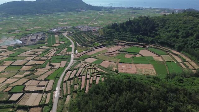 Pan left showing cultivated fields inside an extinct volcanic crater, captured on a sunny day in Ly Son Island, Vietnam.