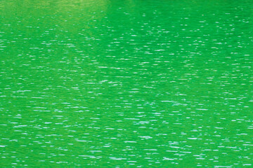 夏の湖　湖水に緑が映える18