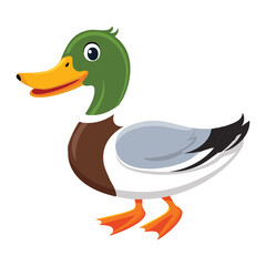 Wild Duck Bird Resting Peaceful Waterfowl Image