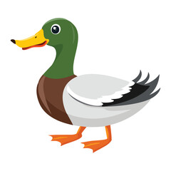 Realistic Male Mallard Duck Resting Side View