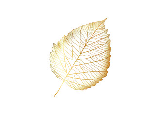 Fototapeta premium illustration: golden autumnal leaf isolated on white or transparent png