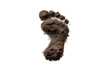 A detailed, muddy footprint on a black background, showing texture and depth of the impression