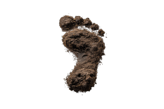 A detailed, muddy footprint on a black background, showing texture and depth of the impression