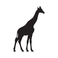 giraffe silhouette vector