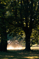 Riders enjoy a leisurely horseback ride through a sunlit forest at dawn in Hyde Park, London, UK
