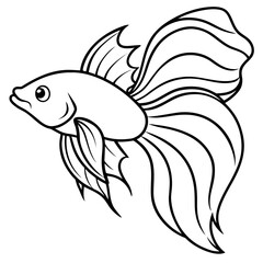 Colorful Betta Silhouette Illustration