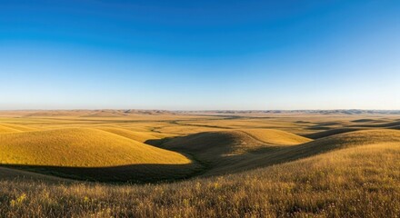 Golden rolling hills under clear blue sky golden grass