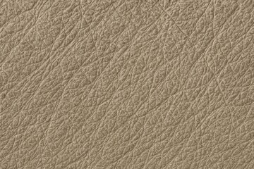 Pi&ntilde;atex Texture | Pineapple Leaf Fiber Surface for Vegan Leather