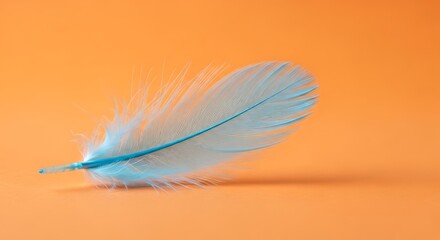 Obraz premium A soft, white bird feather, isolated and delicate, against a light blue sky