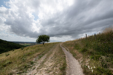 Fototapeta premium A peaceful rural scene showing a hillside path under a cloudy sky, with open views across the countryside.