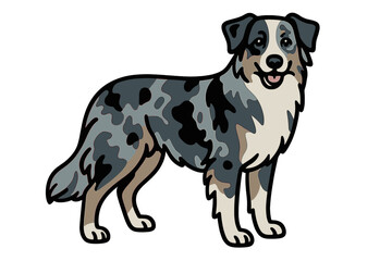 Vector Illustration of a Blue Merle Australian Shepherd Dog