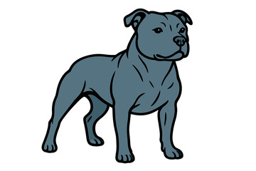 Vector Illustration of Muscular Staffordshire Bull Terrier
