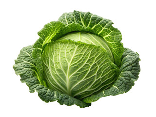 Fototapeta premium Fresh savory savoy cabbage head isolated on transparent background