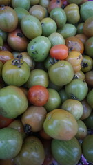 Green and Ripening Tomatoes
