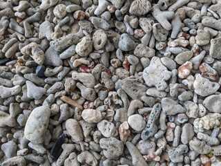 White coral on the tropical beach of Lemukutan Island, West Kalimantan