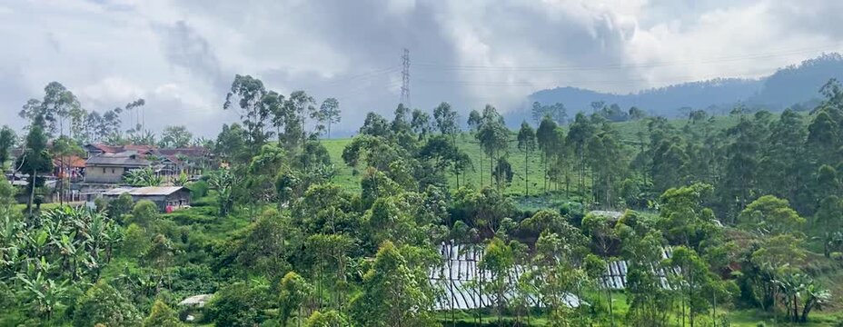 A panoramic view of a lush tea plantation with rows of green bushes stretching toward a distant village and mountains. Ideal for agriculture, sustainability, eco tourism, Dekstop wallpaper background