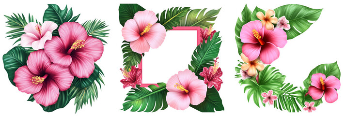 Set of tropical hibiscus flowers and leaves decorative border set isolated
