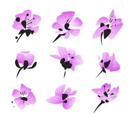 Fototapeta premium Japanese style spring blossom flowers set. Vector elements