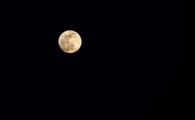Full moon in the black sky. Close-up of the moon in the evening or night sky. Supermoon is an astronomical event.