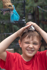 The emotions of an eight year old boy who put a pet rat on his head in his backyard