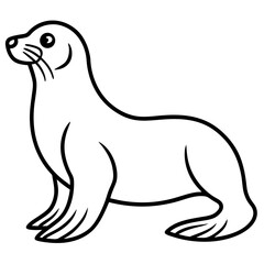 Minimal Sea Lion Outline