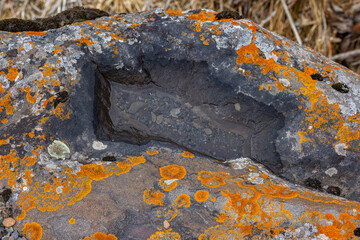 Rock with Pool of Water and Lichen in Serene Nature Setting