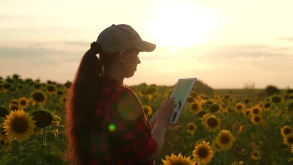 silhouette woman farmer working sunflower field, farming business, sunset hand holding tablet, fieldwork digital tools, sunflower agriculture tech, digital agribusiness systems, farm data analysis - Powered by Adobe