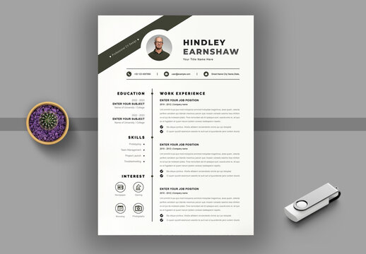 Clean Resume Layout