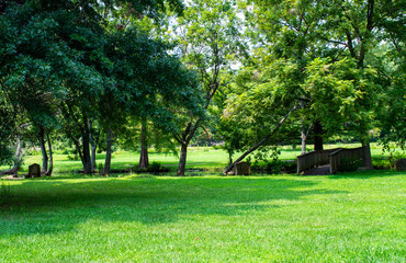 Walk bridge in peaceful green landscape