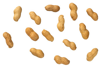 Group of Raw Peanuts in Shell isolated