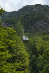 
A modern cable car glides above lush green trees, ascending a steep, forested mountain under a bright sky.