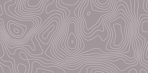 Abstract topographic contour pattern with smooth white lines on a muted gray background. Ideal for backgrounds, wallpapers, or design projects needing a modern geographic or elevation-themed texture.