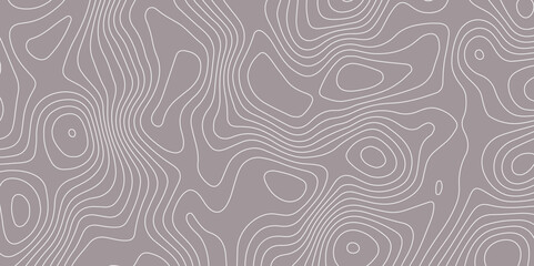 Abstract topographic contour pattern with smooth white lines on a muted gray background. Ideal for backgrounds, wallpapers, or design projects needing a modern geographic or elevation-themed texture.