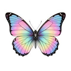 Obraz premium Iridescent butterfly with vibrant purple and teal wings isolated