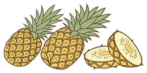 vector illustration of pineapple