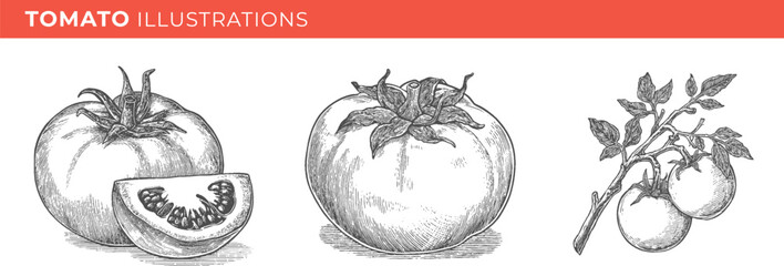 Set illustrations of tomato isolated on transparent background. Vector graphics