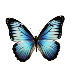 Iridescent butterfly with vibrant purple and teal wings isolated