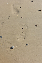 Imprints of human bare feet on the fine sand, on the beach smoothed by low tide. Footprints of human feet. Concept for travel and vacation. Beach near Cefalu, in Sicily, Italy. Travel to Italy. Relax.