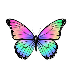 Obraz premium Iridescent butterfly with vibrant purple and teal wings isolated