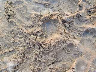 Soft-focus image of fine beach sand texture forming a natural background. The light beige tones and gentle surface pattern create a calming and minimalist seaside backdrop