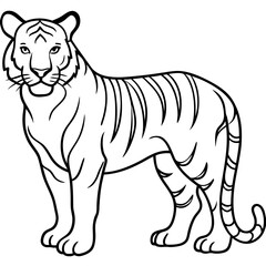 Minimalist Full Body White Tiger Vector Illustration
