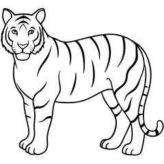 Minimalist Full Body White Tiger Vector Illustration