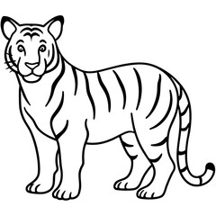 Minimalist Full Body White Tiger Vector Illustration