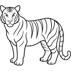Minimalist Full Body White Tiger Vector Illustration