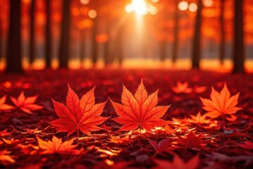 Vibrant red maple leaves blanket forest floor in golden autumn sunlight
