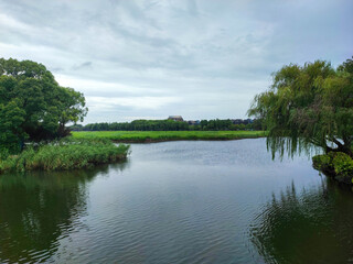 The beautiful canal with the green wetland.