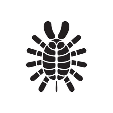 recommend clip art: A black silhouette of a tarantula spider, viewed from above, isolated on a white background