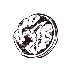 Walnut, half a walnut in the shell. All objects are hand-drawn with ink. Vector illustration for printing on food packaging, cosmetics, tableware, fabric. Vector illustration